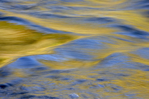 Textures;Shapes;Patterns;Abstractions;Abstract;Reflections;Reflection;Plant;Trunk;Bark;Leafy;Branches;Branch;Woodland;Herbaceous;Shrub;Bush;Trees;Tree Trunk;Brook;Creek;Rivulet;Streamlet;Stream;Rivers;River;Riverbed;Water;Flowing;waterway;stream;creek;brook